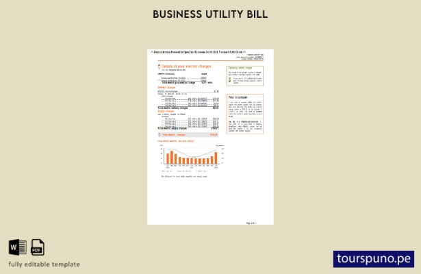 listo para imprimir la factura comercial de servicios públicos PSEG de Nueva Y 3